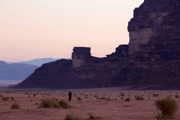 Alba nel Wadi Rum I