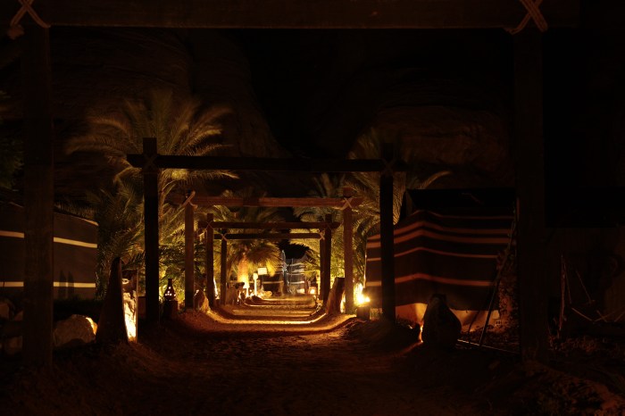 Captain's Desert Camp II