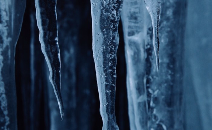 Looking for the&nbsp;Winter