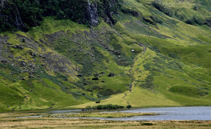 Alcune cose che ho imparato della Scozia/#2