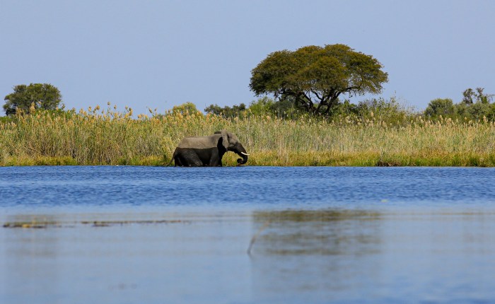 Agenzia Viaggi Z&M – Road to&nbsp;Botswana